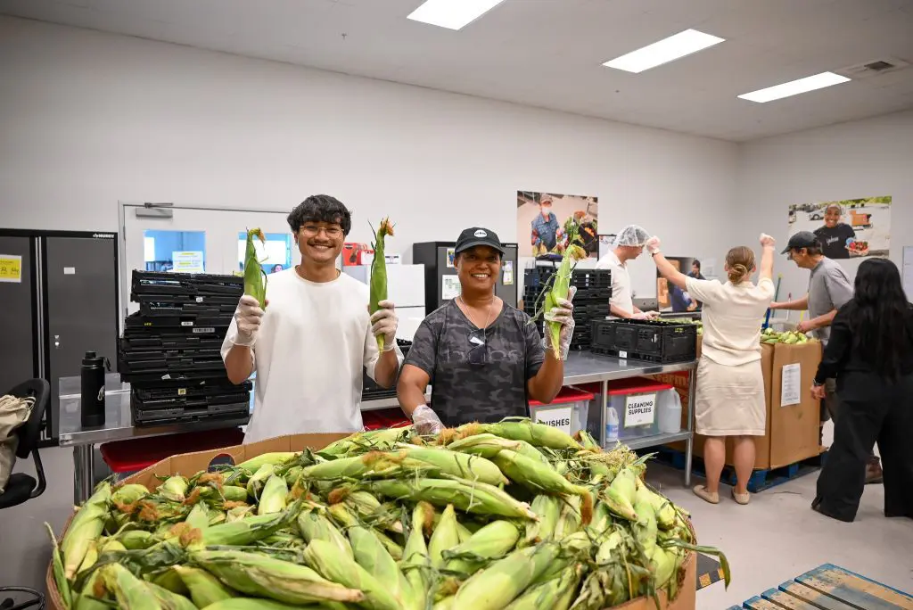 Yolo County Grows Food for the World & More of It Is Reaching Home