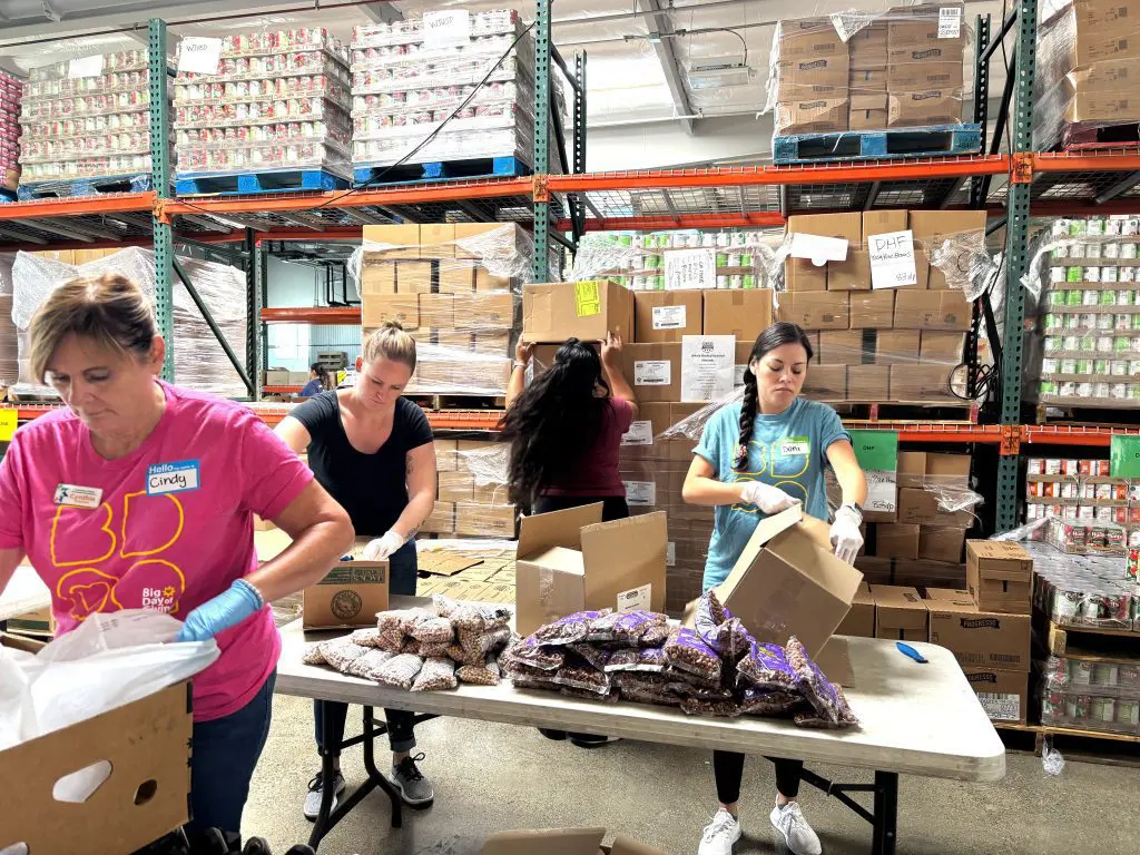 Sacramento Region Community Foundation staff volunteer by filling food bags at the Yolo Food Bank