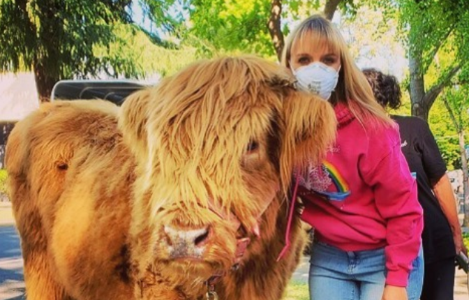 Informe del Gran Día de Dar 2020 a la comunidad