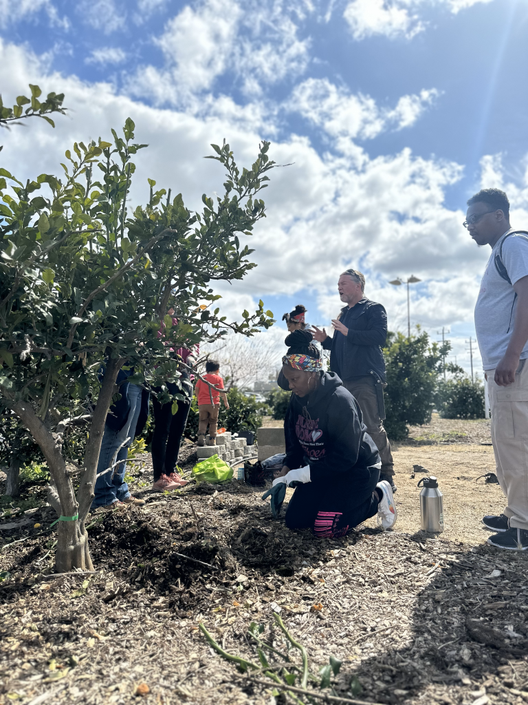 Nonprofit Brings Locally Grown Produce to Del Paso Heights Sacramento