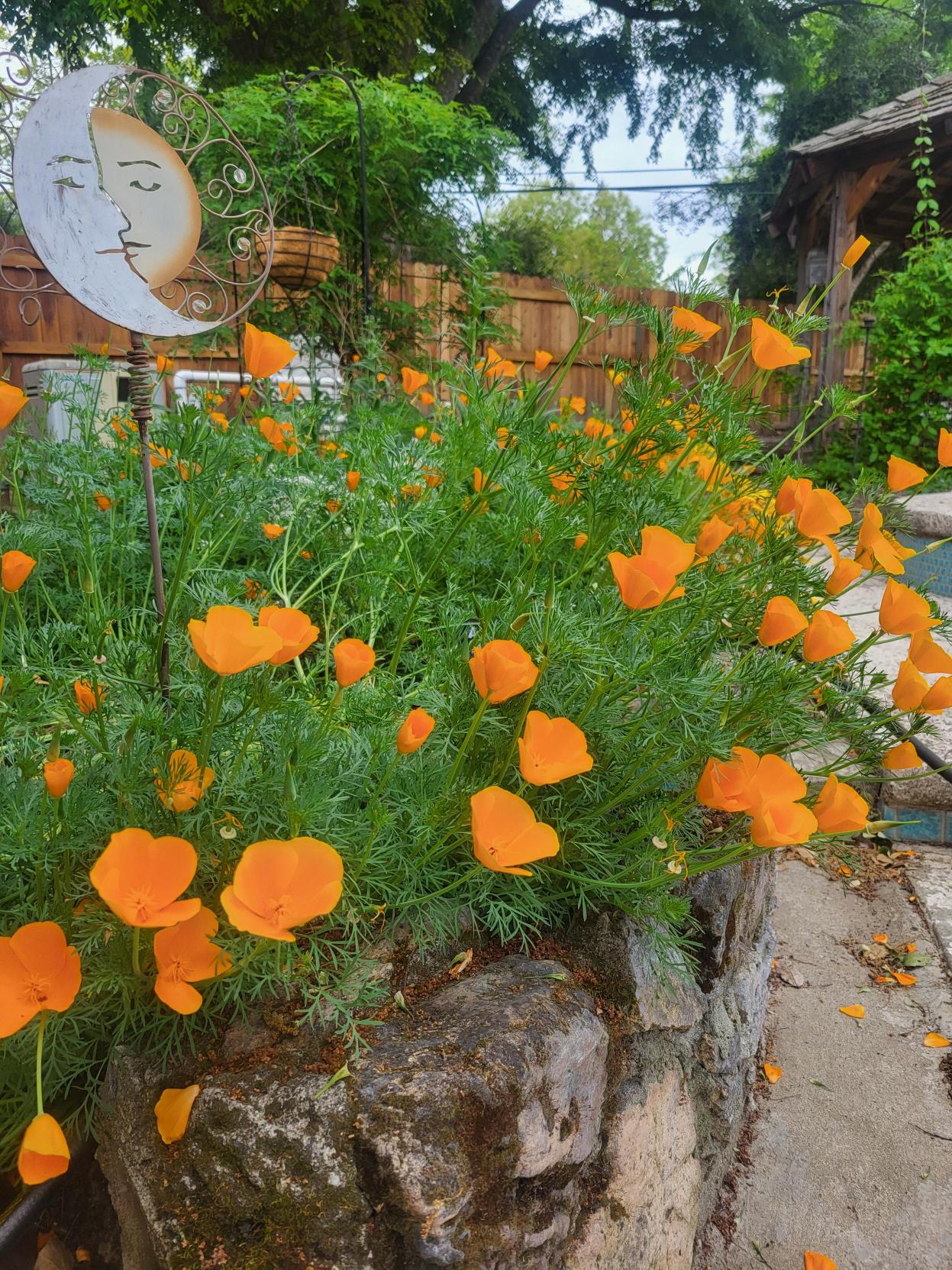 El legado perdurable de generosidad de la familia Reeve